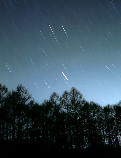 ���ނӂ���