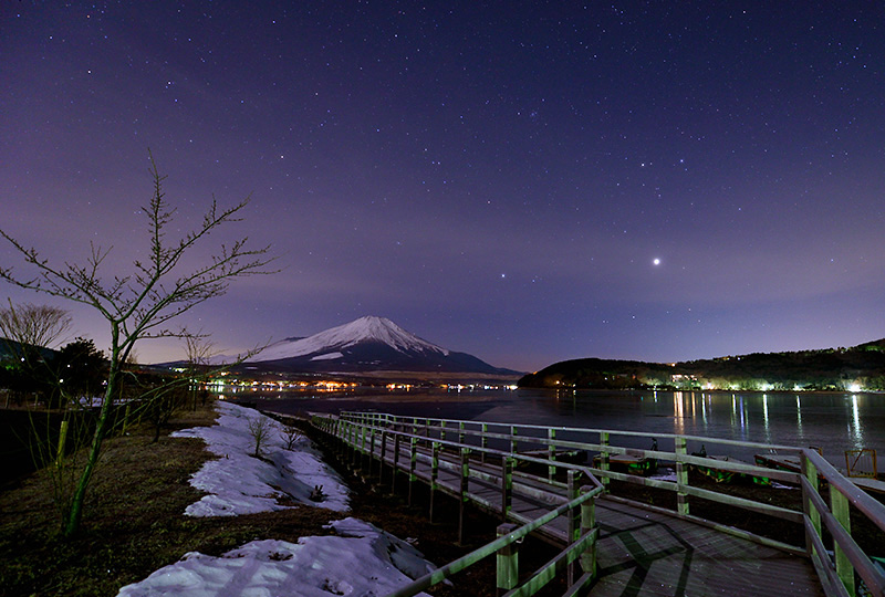 �o�q�̒��ލ�