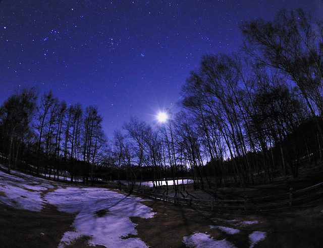 �ؗ��Ɉ͂܂��