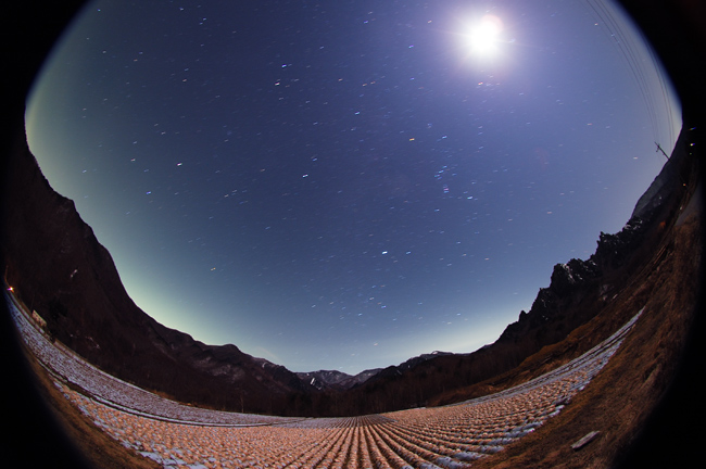 �t�҂��̏��