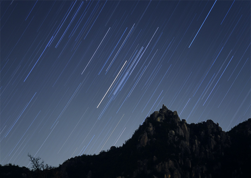 ����q�A�f�X