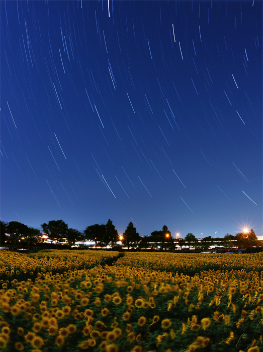 ������Ђ܂�蔨