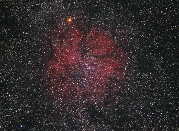 IC1396