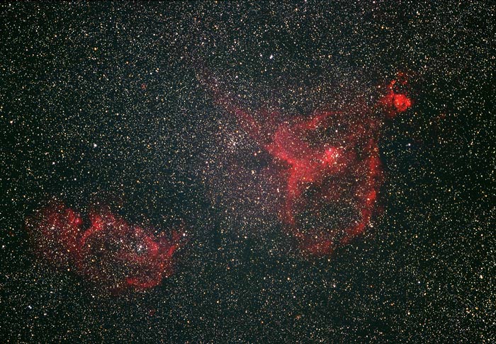 �h�b�P�W�O�T