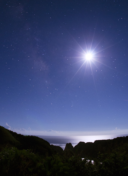 ��V�̏���