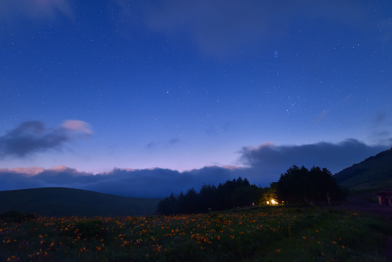 �����̒�