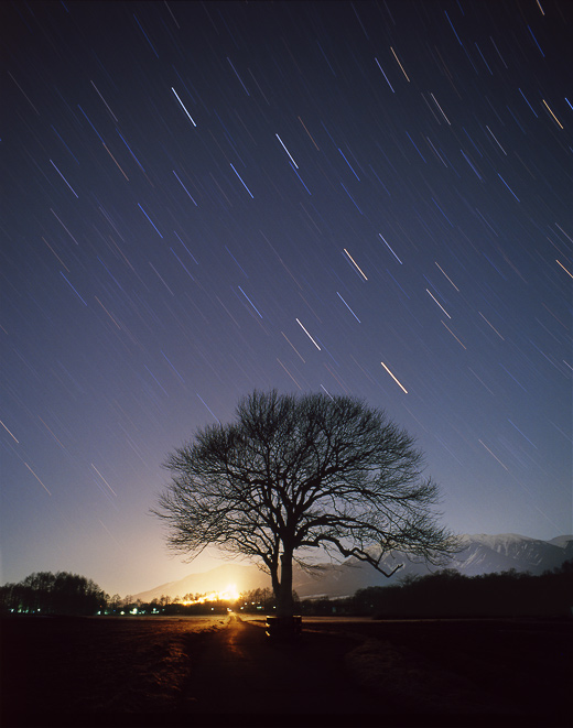 ����ɏA������