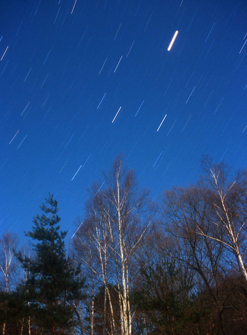 ���邵����