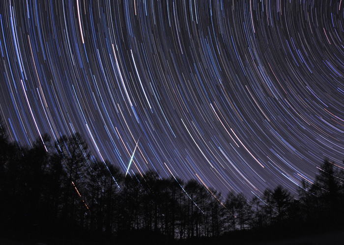 �ؗ��Ɏh����΋�