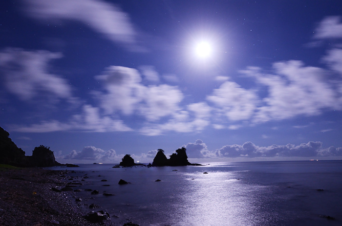 ������̌�����