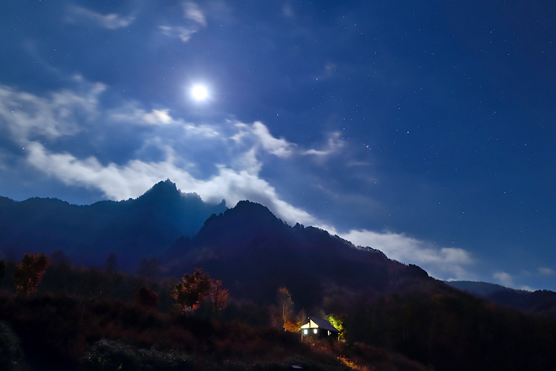 ���ɕ����ʃI���I��