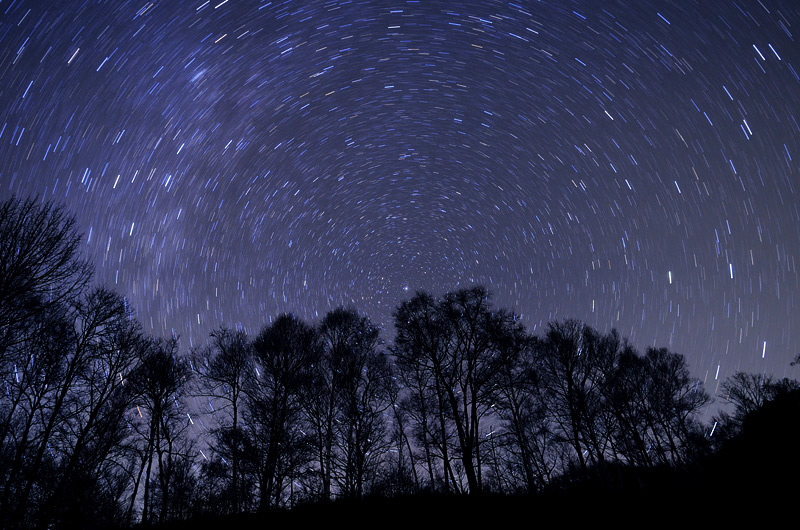 ���B�̌��グ�鐯��