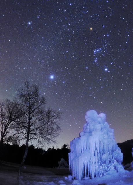 �X�̃����X�^�[��