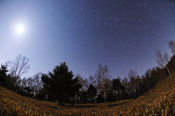 �����ɂ�