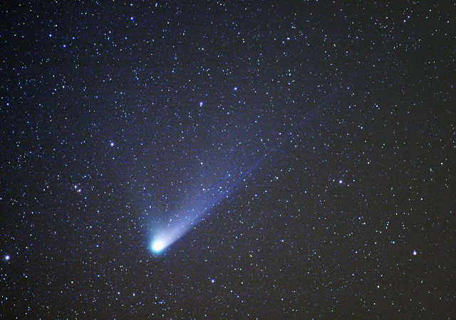 �j�[�g�a��