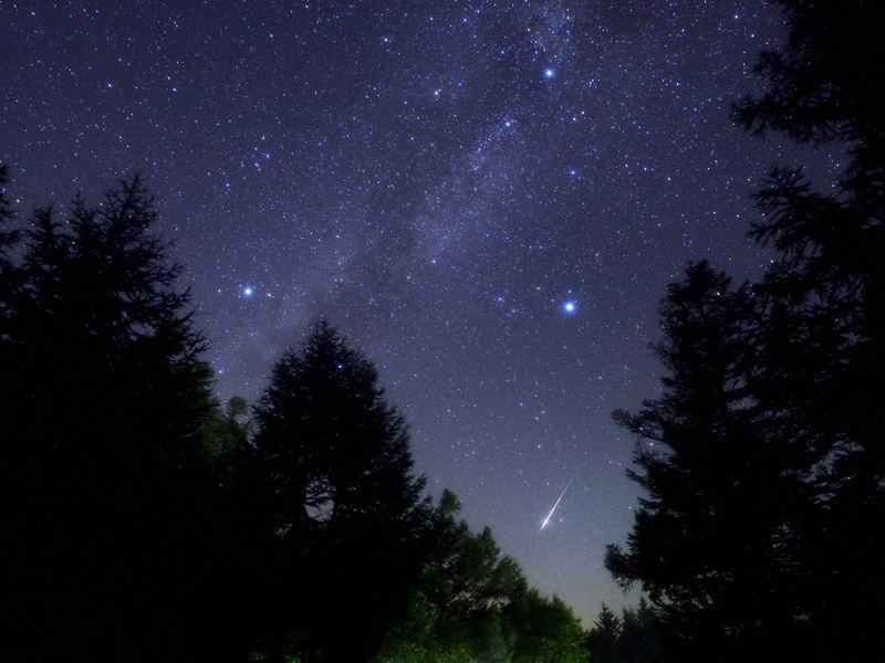 �y���Z�̖�