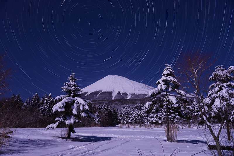 ��̐��P��