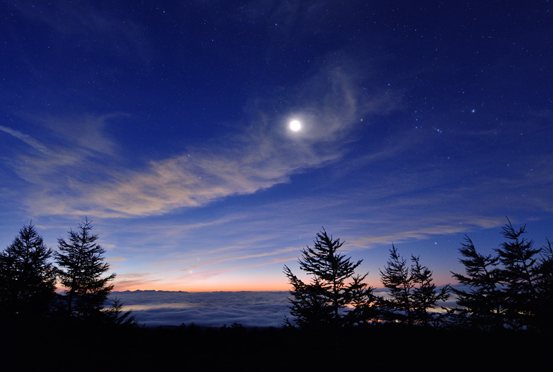 �閾���̎�