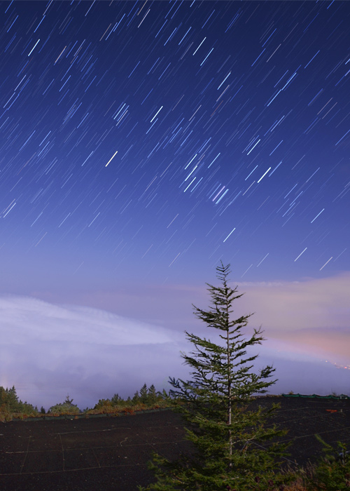 �_��̃I���I��