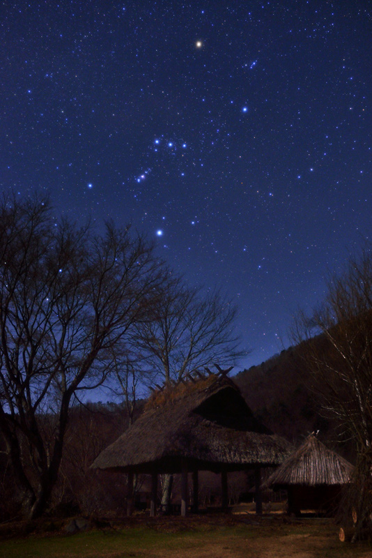 ���ɒǂ���I���I��