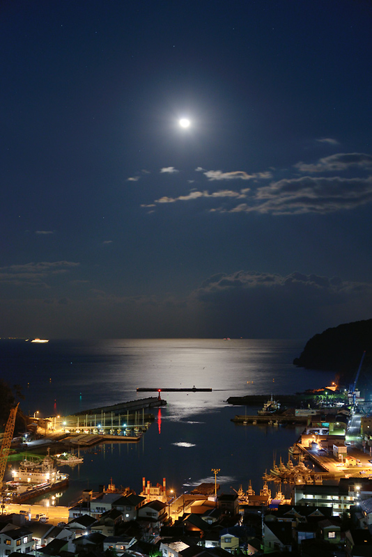 �`�ɉe�𗎂Ƃ���