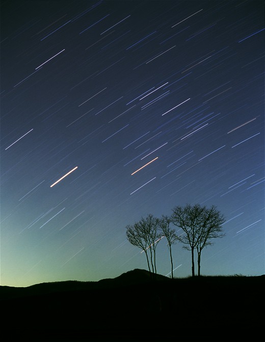 �C�����΂�����