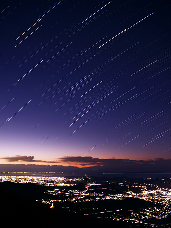 ������̏��钩