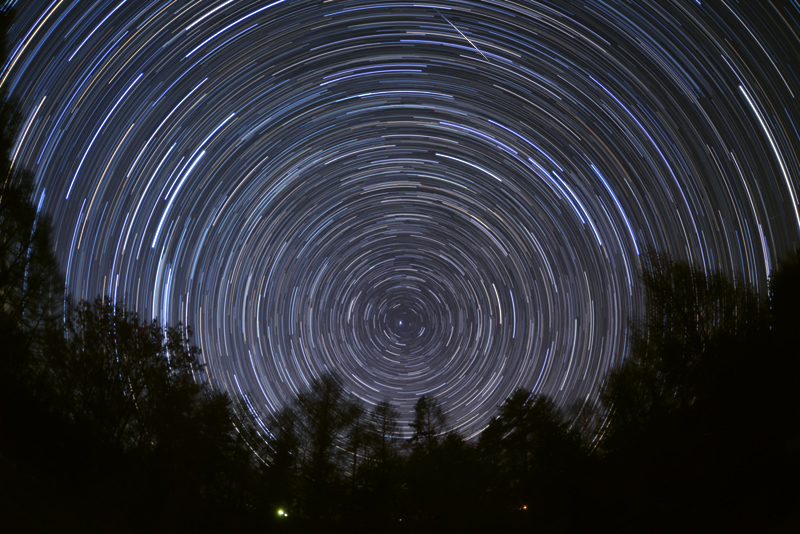 �l���V�̖�