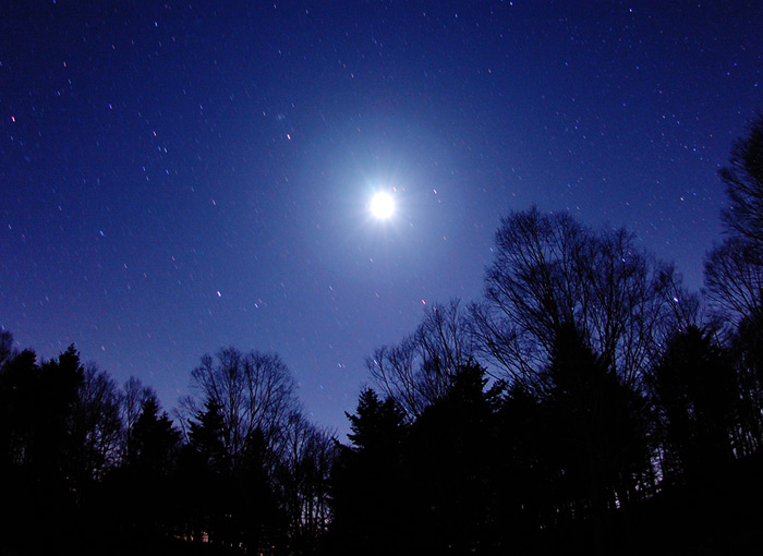 ���̂�����