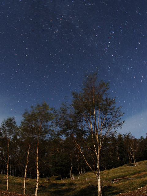 �����̏��