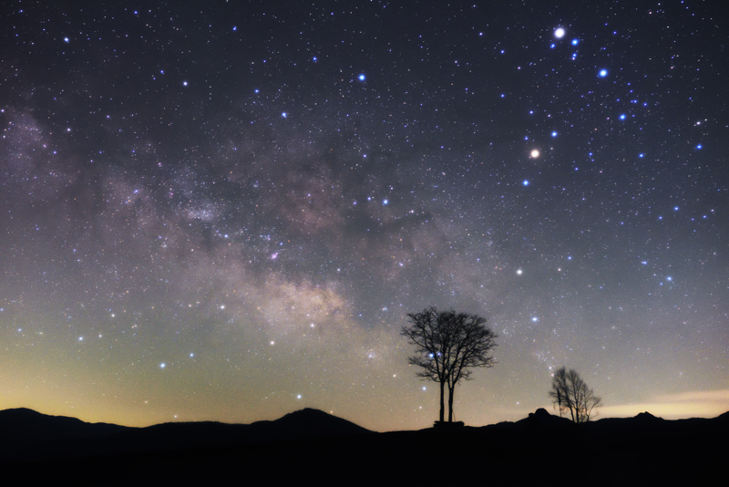 ������ɋq�l