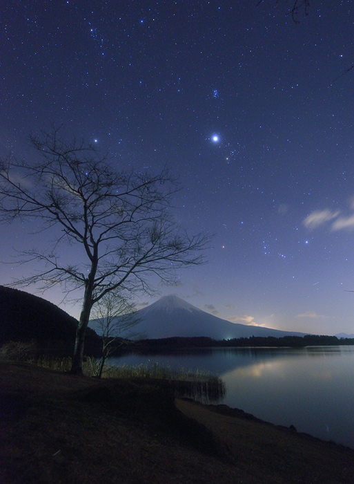 �c�ь΂ɏ���