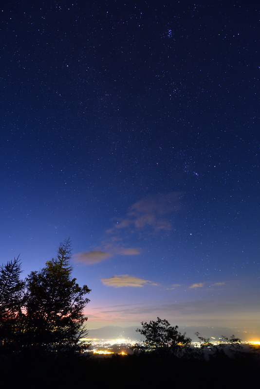 �H�ւ̓����