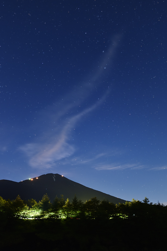 �[�Ŕ����