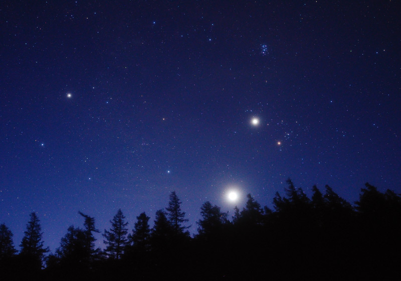 �閾���̋P��