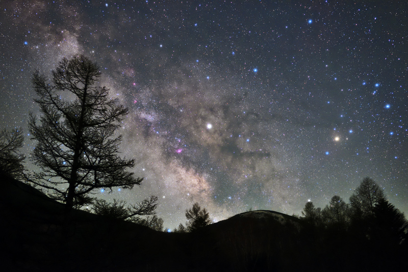 ���𐟂܂���