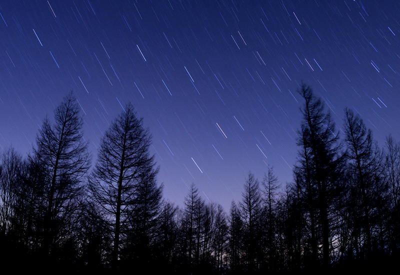 ����邵��