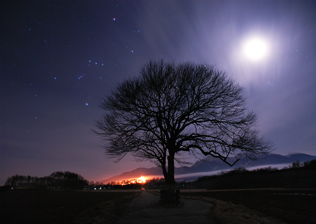 �Â��Ȗ�X��