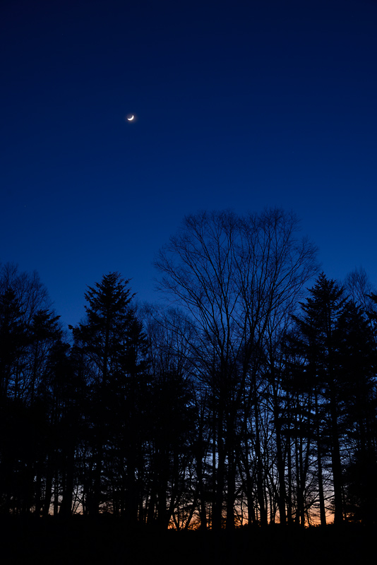 �����̌�