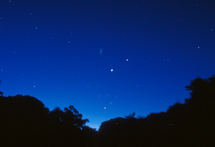 ���΂�ɏW���ؐ��y��