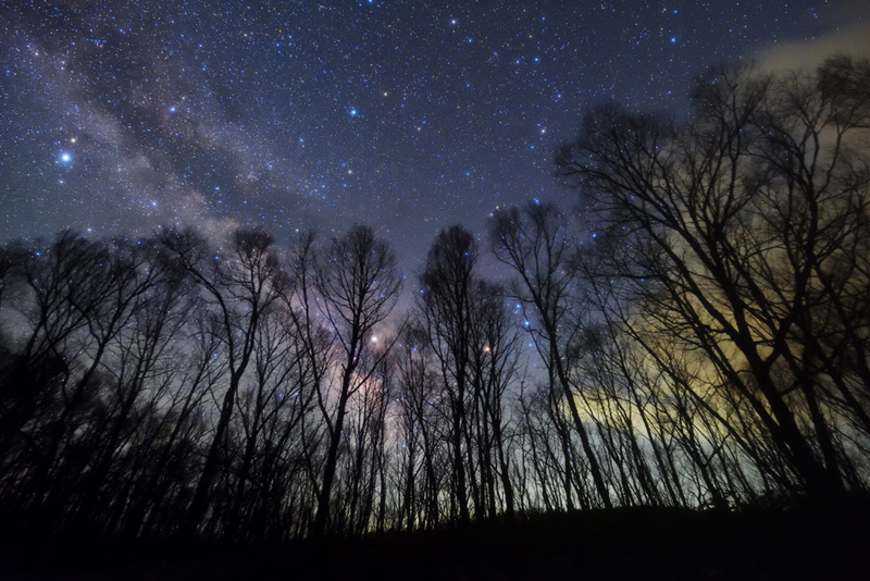 �тɐ��ނ�����