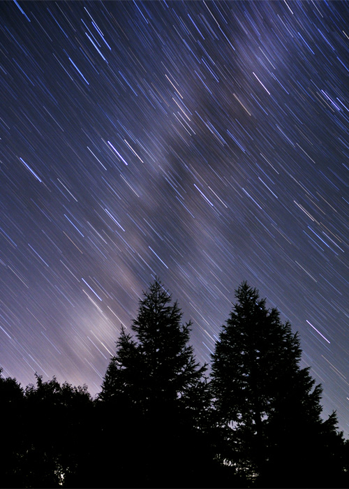 ���ɌX���V�̐�