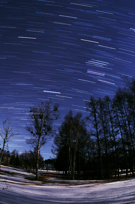 ����ɏ���